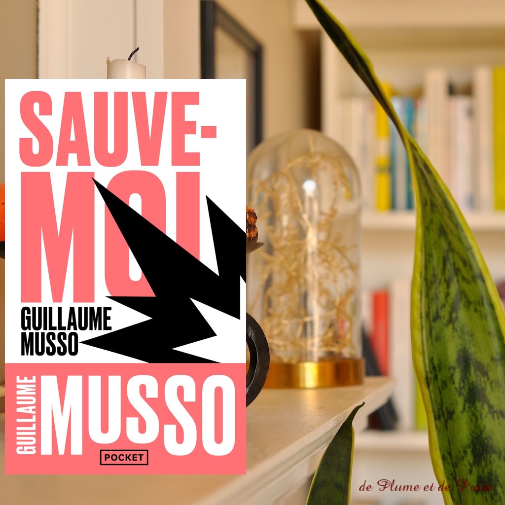Sauve-moi – Guillaume Musso