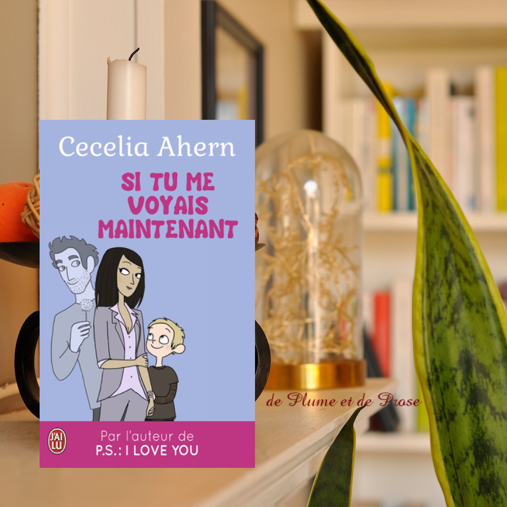 Si tu me voyais maintenant – Cecelia Ahern