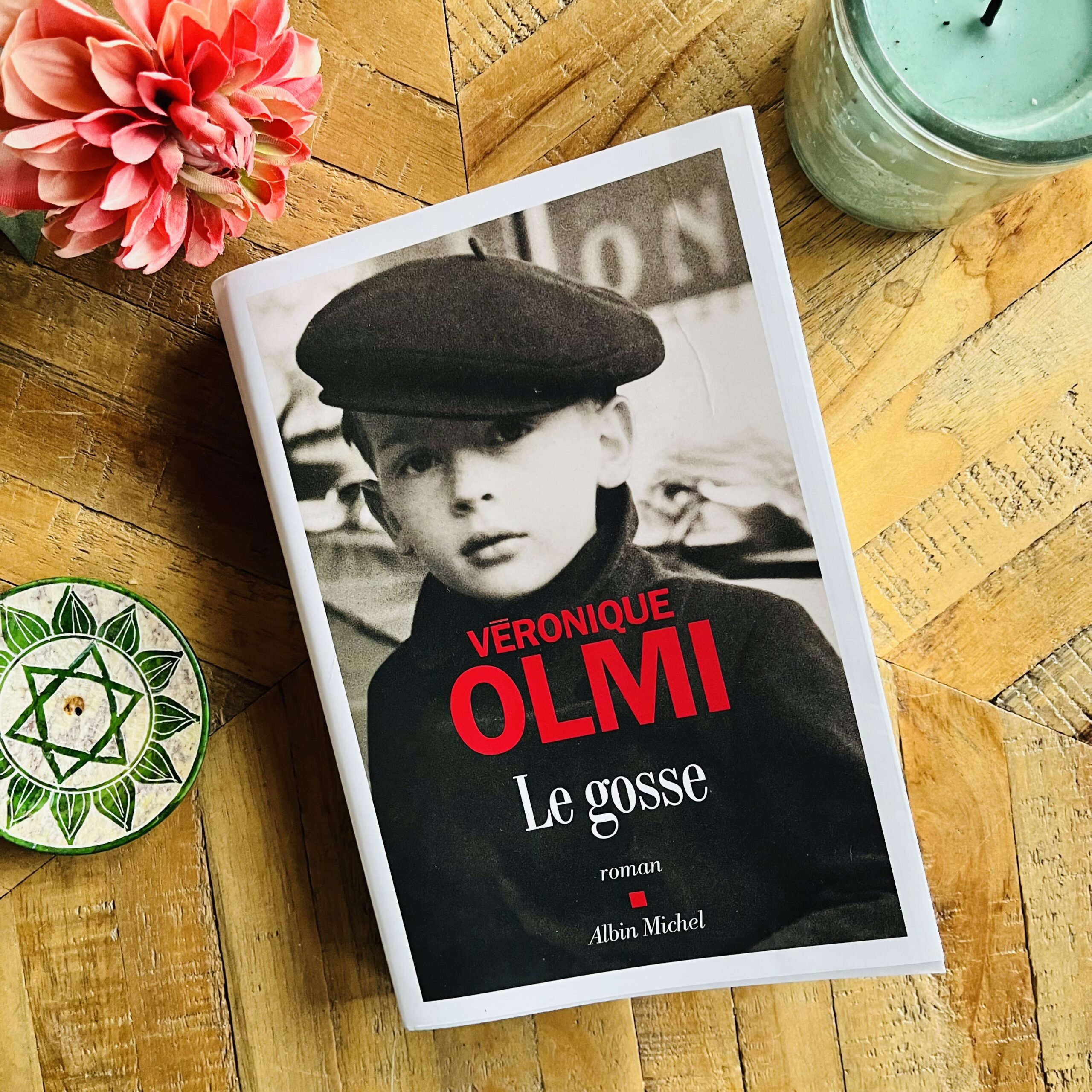 Image de couverture du roman Le gosse de Véronique Olmi, aux éditions Albin Michel.