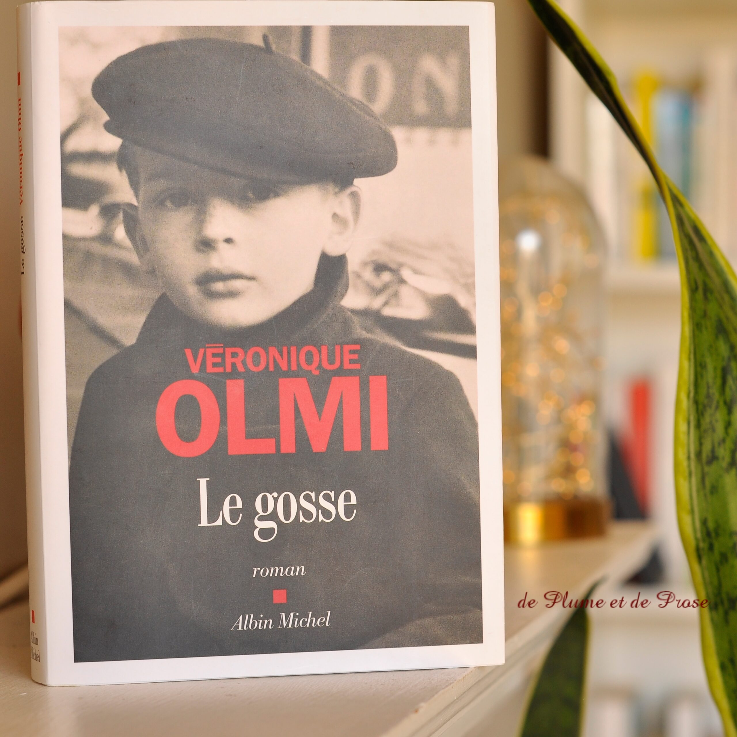 ❤️ Le gosse – Véronique Olmi