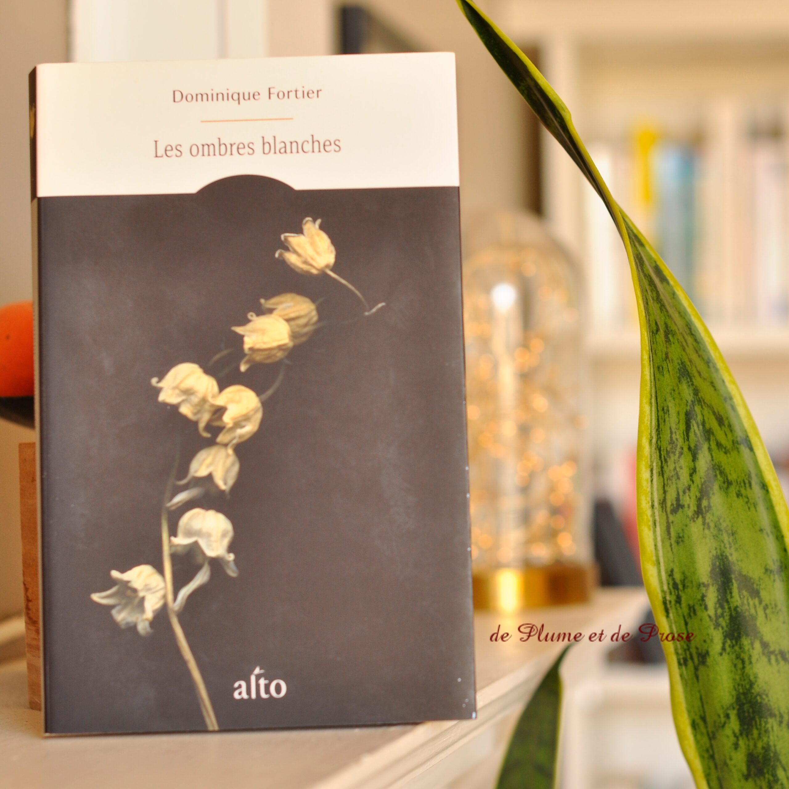 ❤️ Les ombres blanches – Dominique Fortier